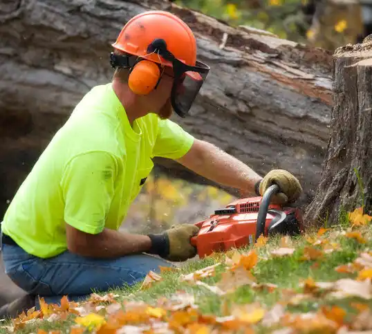 tree services Shoreham